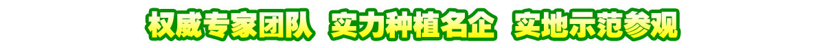 川草阁名贵中药材种植