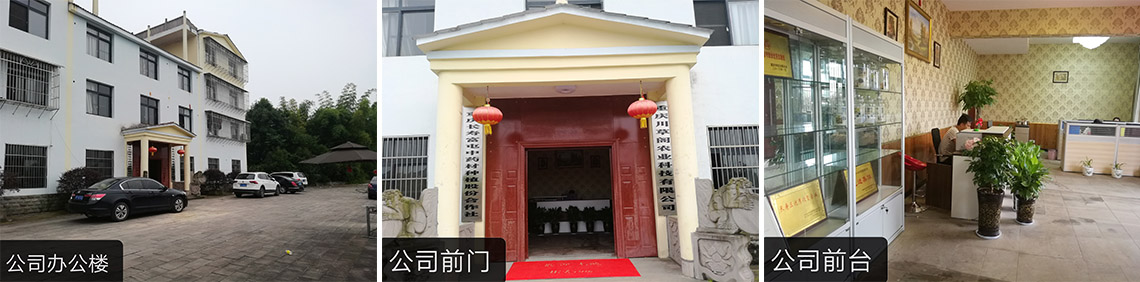公司简介(图3)