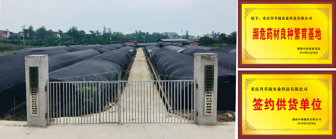 公司简介(图5)
