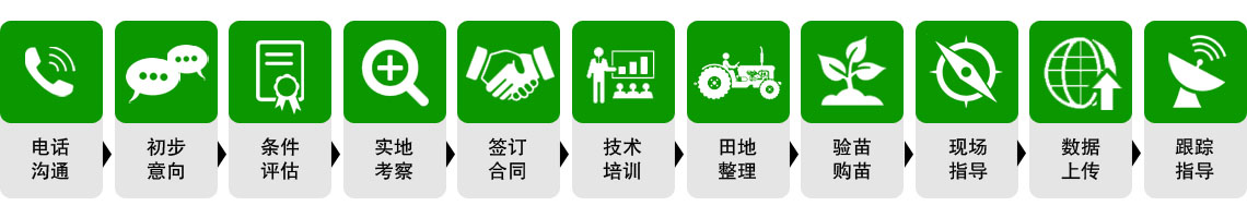合作方式(图1)