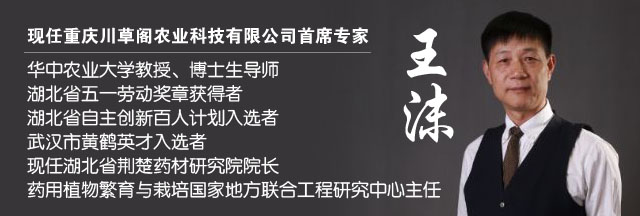 研发团队(图2) 1-19120R0121O21.png